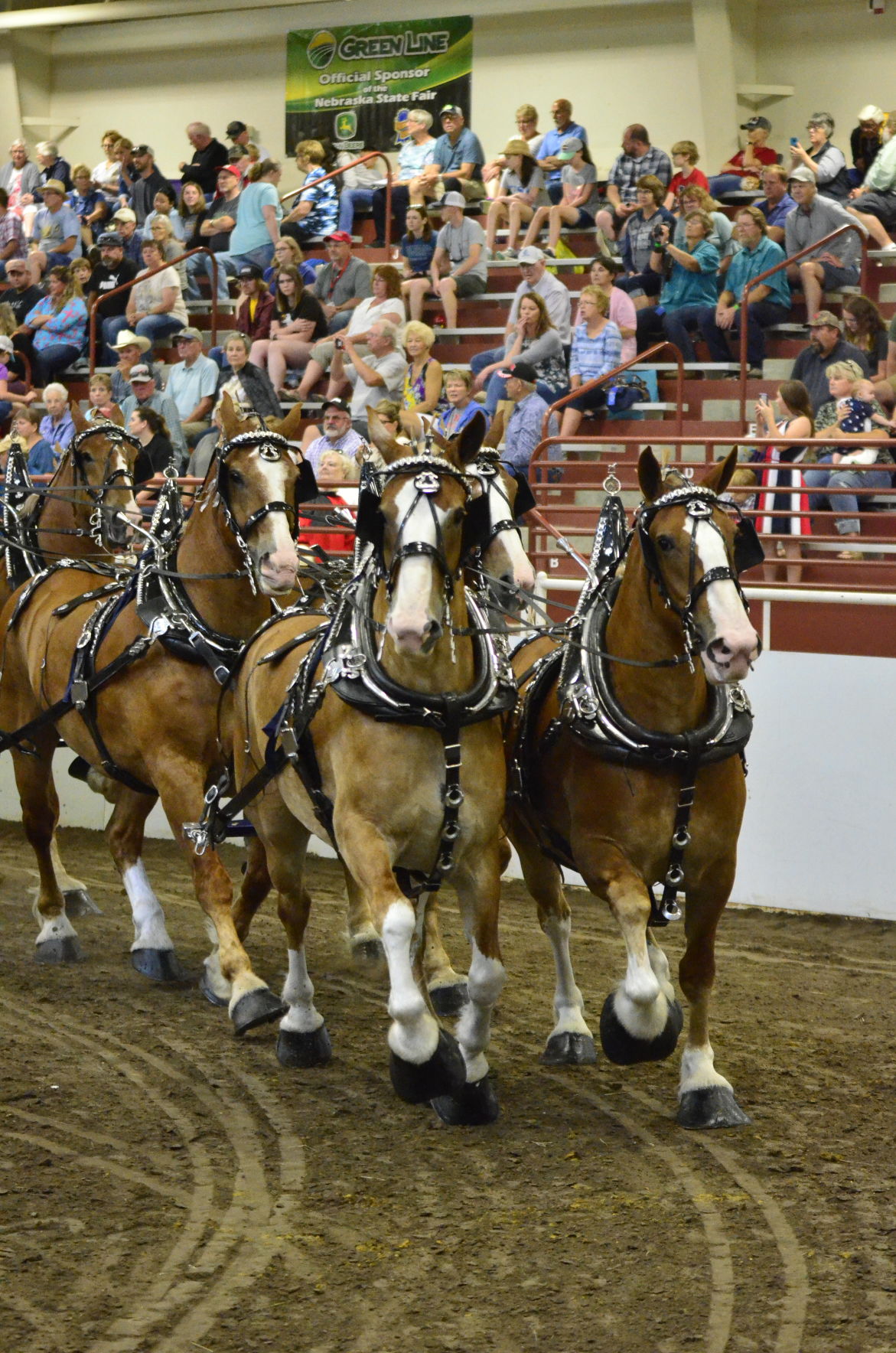 8-25-19 Draft Horse Hitch Final (111).JPG